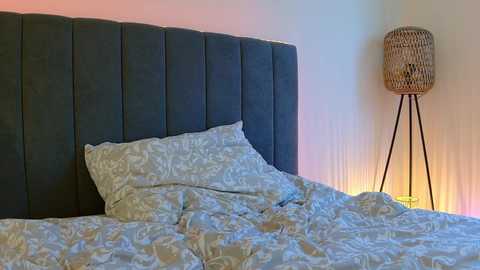 lena___ @ chaturbate on 20251227