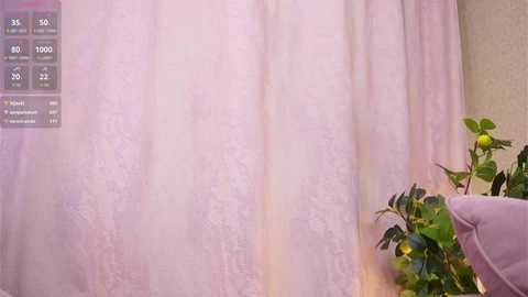 namguillot @ chaturbate on 20251227