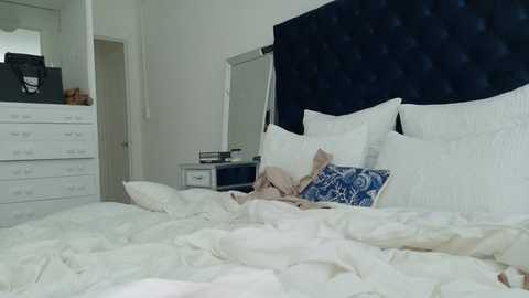 theislandgirl @ chaturbate on 20251227