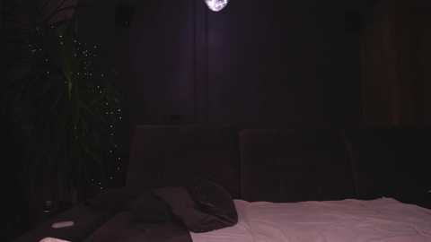 dreamana @ chaturbate on 20251228