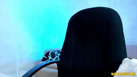 wethoneybee @ chaturbate on 20251228