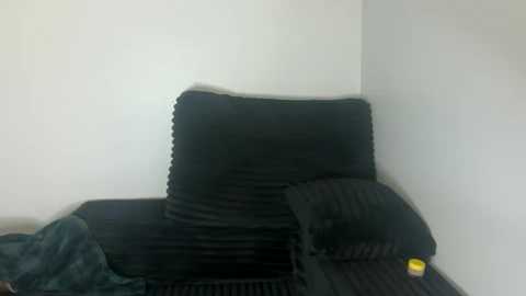 bexbex945874 @ chaturbate on 20251229