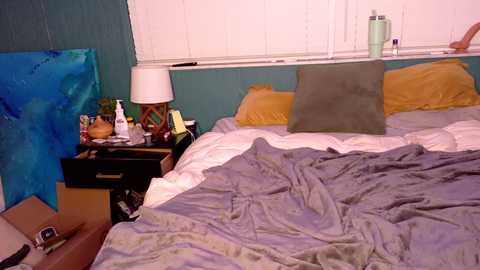 brathbur @ chaturbate on 20251229