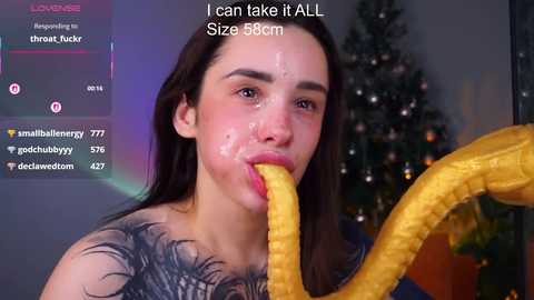 evarabbit @ chaturbate on 20251229