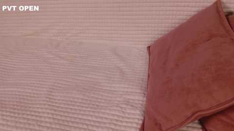 hlopushkahouse @ chaturbate on 20251229