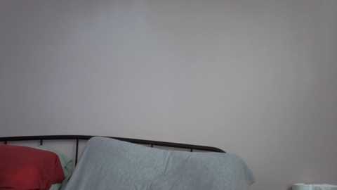 kaygraciee @ chaturbate on 20251229