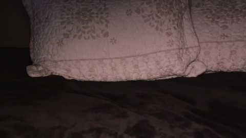 miss_jae @ chaturbate on 20251229