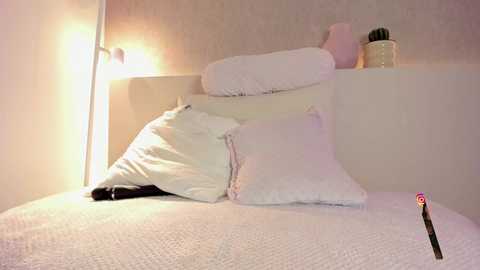 roxannegomez_ @ chaturbate on 20251229