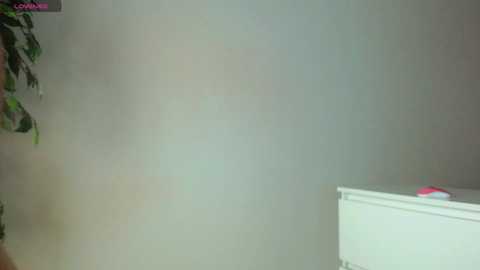 trixie_taylor @ chaturbate on 20251229