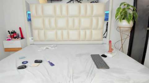 alhana_pulidoo @ chaturbate on 20251230