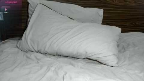 asiangirl853627 @ chaturbate on 20251230