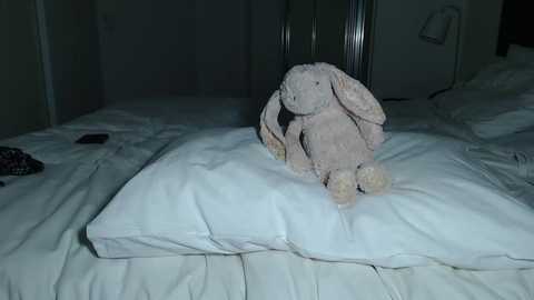 iamsummerxx @ chaturbate on 20251230