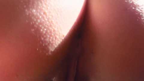 trying2fit @ chaturbate on 20251230