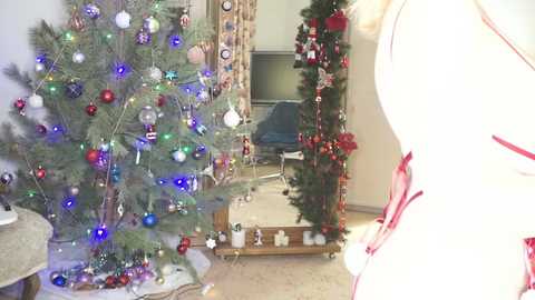 moonlight4u @ chaturbate on 20251231