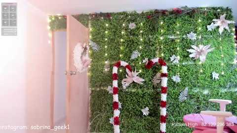 sabrina_geek @ chaturbate on 20251231