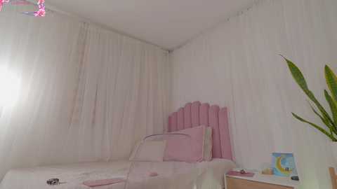 stephania_let @ chaturbate on 20251231