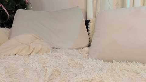 mintlackey @ chaturbate on 20260101