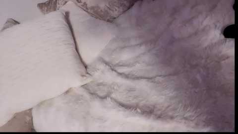 noirelysia @ chaturbate on 20260101