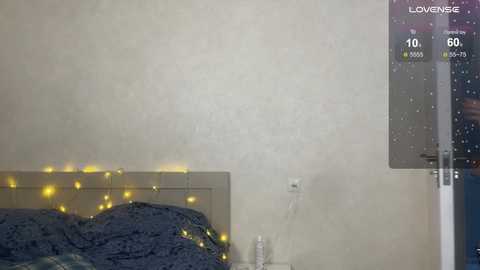 play_me_softly @ chaturbate on 20260101