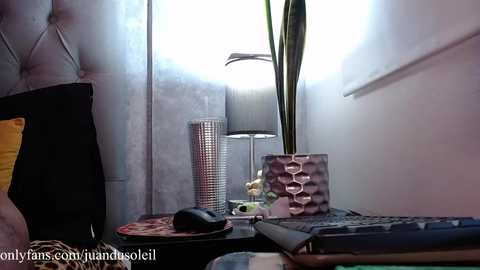 therealsoleil @ chaturbate on 20260101