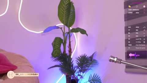 imlis @ chaturbate on 20260102