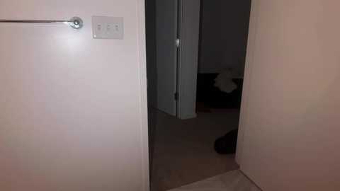 stellapearl @ chaturbate on 20260102