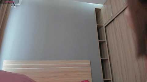 sweety_vikky @ chaturbate on 20260102