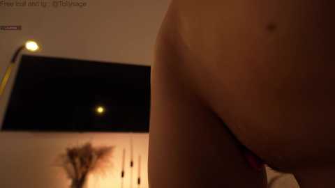 tollysage @ chaturbate on 20260102