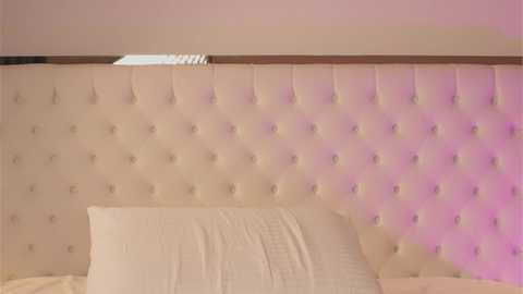 katestars @ chaturbate on 20260103