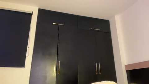 latinella @ chaturbate on 20260103