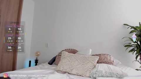 massivecockfuckbunny