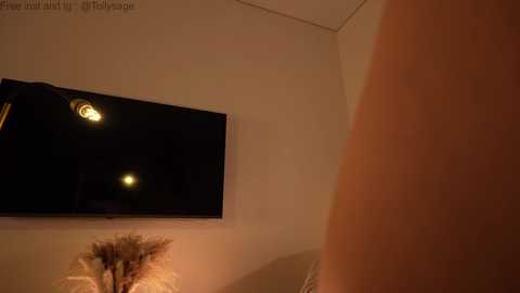 tollysage @ chaturbate on 20260103