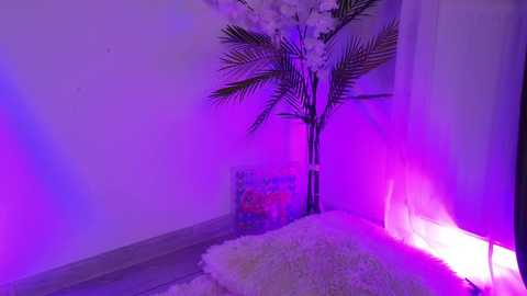 ashley_is_heree @ chaturbate on 20260104