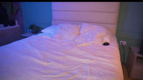 ashley_jones9 @ chaturbate on 20260104