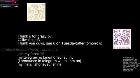 honey_sunshine @ chaturbate on 20260104