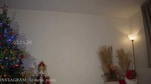 shena_nomy @ chaturbate on 20260104