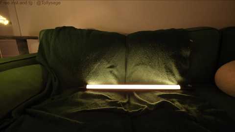 tollysage @ chaturbate on 20260104