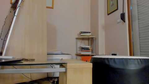 hotel77777 @ chaturbate on 20260105