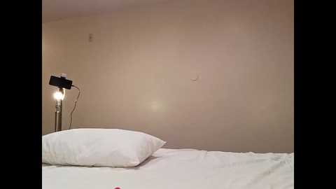 kibrombariu45 @ chaturbate on 20260105