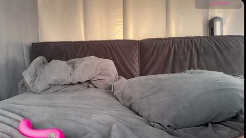 quantum_heart @ chaturbate on 20260106