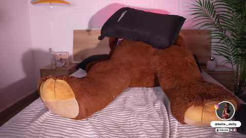 bella__donne @ chaturbate on 20260107