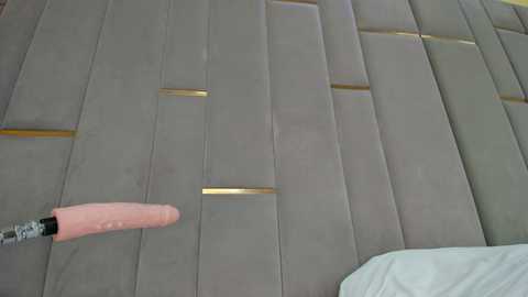 evalims @ chaturbate on 20260107