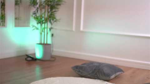 alexxiskye @ chaturbate on 20260109