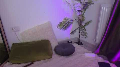 ashley_is_heree @ chaturbate on 20260109