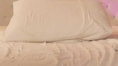 katestars @ chaturbate on 20260109