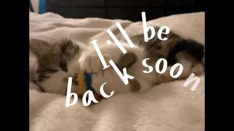 yourlovelyviki @ chaturbate on 20260109