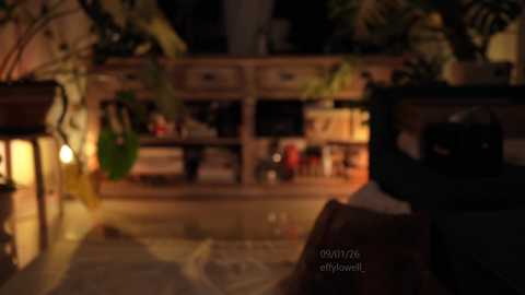 effylowell_ @ chaturbate on 20260110