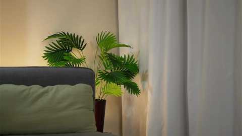 akumadadrive @ chaturbate on 20260111