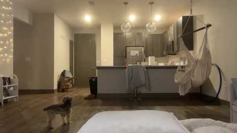 chloecookk @ chaturbate on 20260111