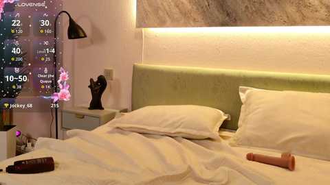 aurora_radiance @ chaturbate on 20260112